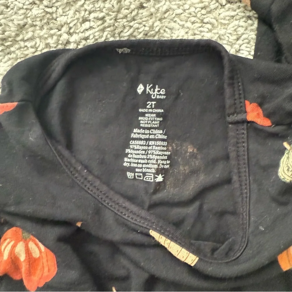 KYTE BABY- Pumpkins/Fall 2 Piece Long Sleeve Pajamas- 2T